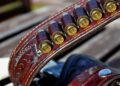 Bullets
