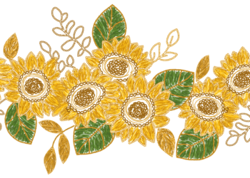 Sunflowers Illustrative