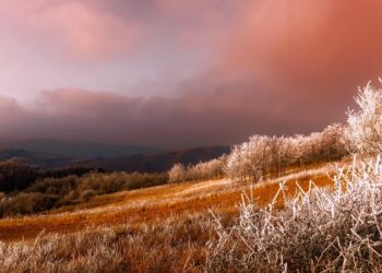 Serbia. Illustrative