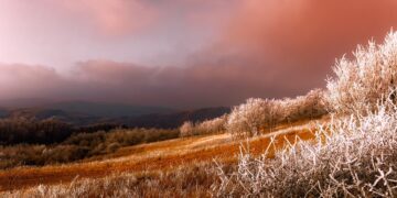 Serbia. Illustrative