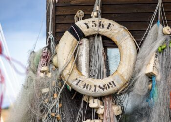 Lifebelt. Illustrative