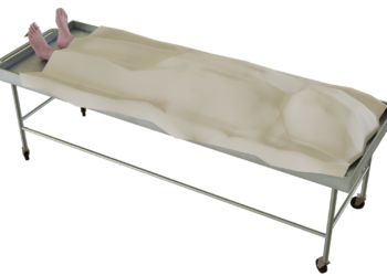 A corpse. Illustrative