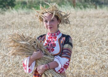 Traditional harvesting. Illustrative