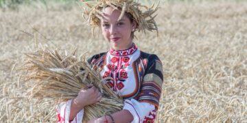Traditional harvesting. Illustrative
