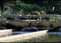 Water system