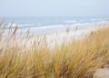 Seashore