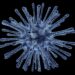 Virus Cell illustration