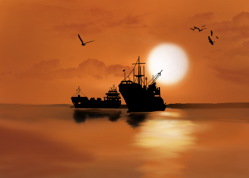 Ships in the sunset