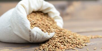 Bag of grain. Illustrative