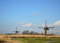Traditional windmills.