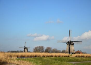 Traditional windmills.