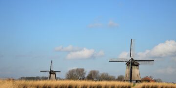 Traditional windmills.