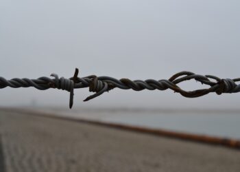 Barbed wire