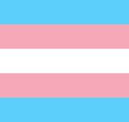 Trans flag