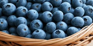 Blueberries.