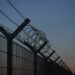 Border fence.