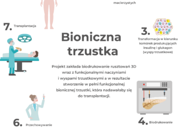 Bionic Pancreas scheme