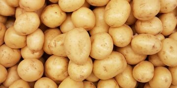 Potatoes