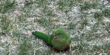 Source: Facebook Zuzanna Kristoficova