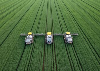 Conflict in Romania over Mercosur