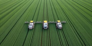 Conflict in Romania over Mercosur