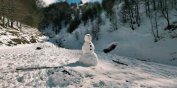 Snowman
