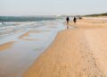 Baltic shore