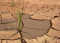 Drought