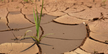 Drought